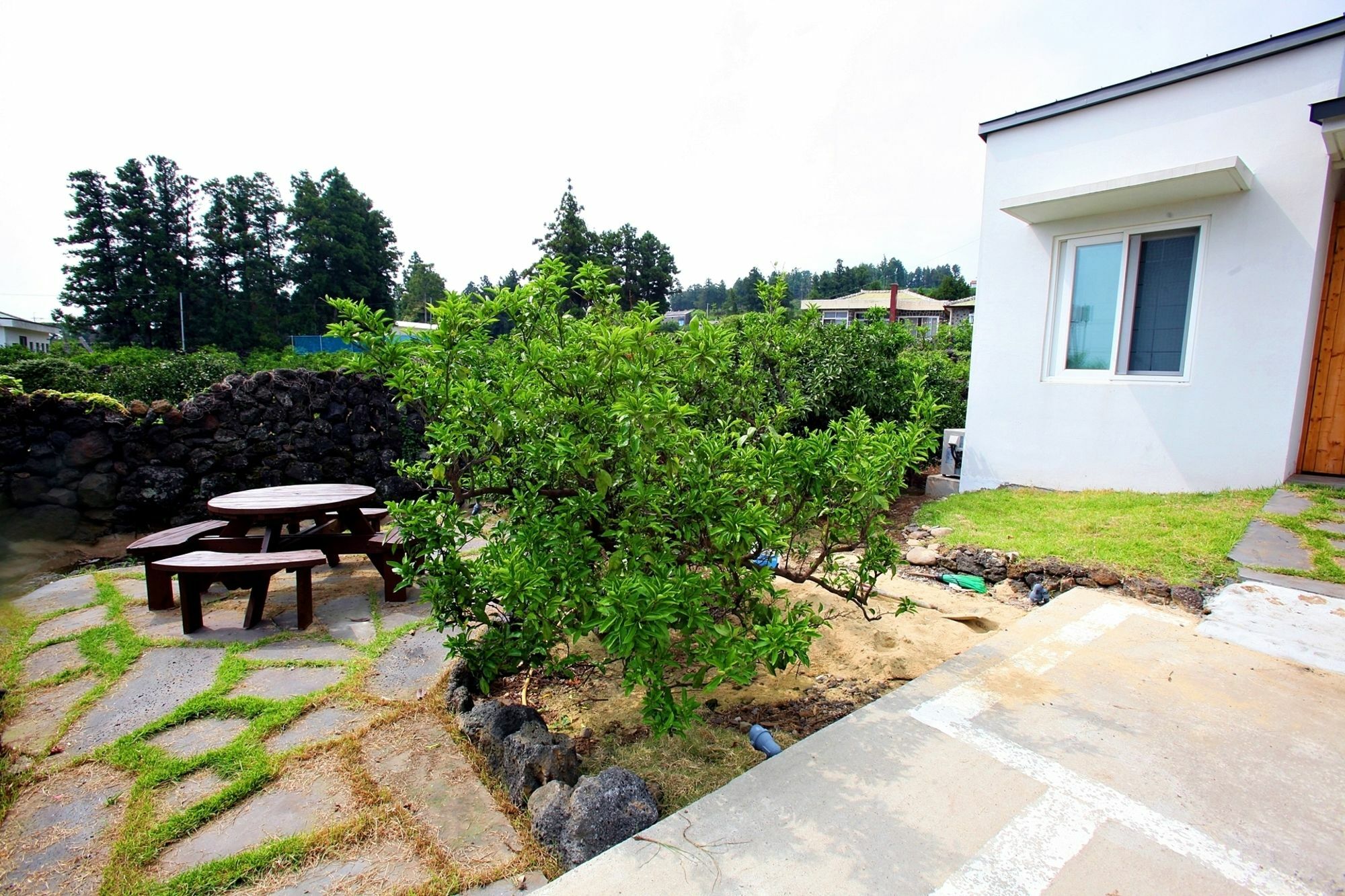 Saemmoru Pension Seogwipo Exterior foto